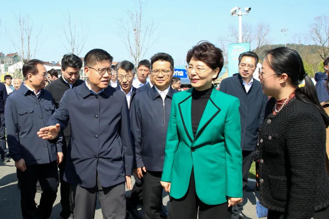 省领导来常调研文化赋能乡村振兴工作
